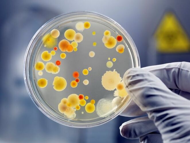 Der unkontrollierte Einsatz von Antibiotika führt zu einer Pilzprostatitis